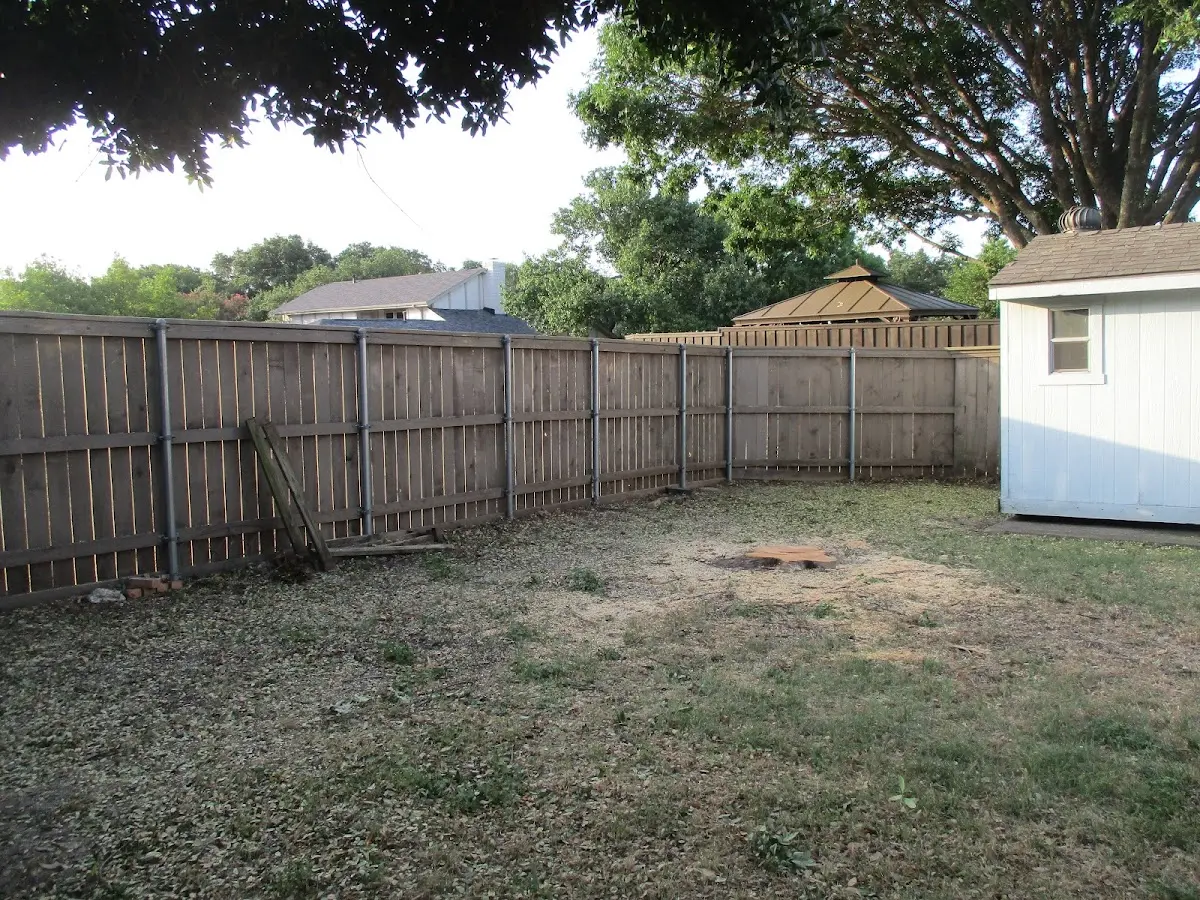 Cleared yard after professional tree removal in Thendara