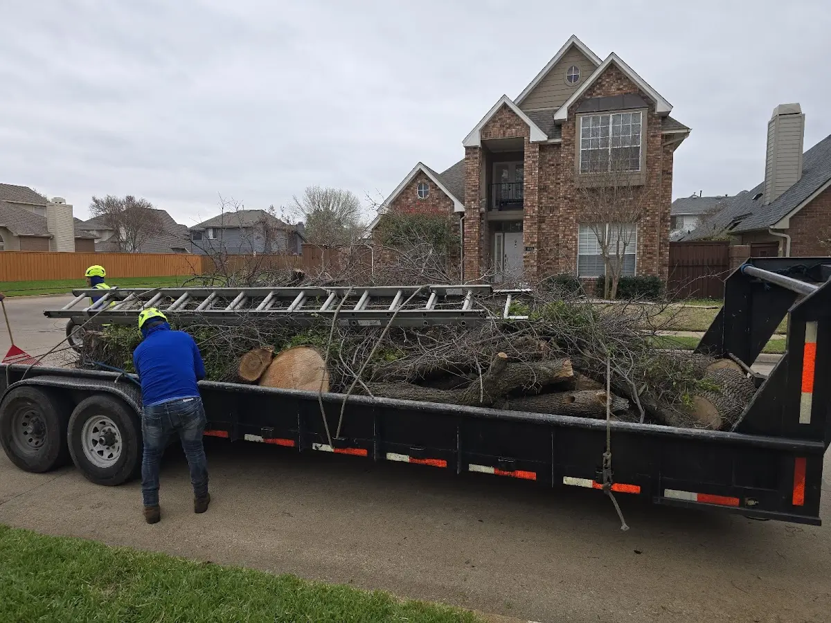 Expert Tree Pest Control with proper safety equipment in Thendara
